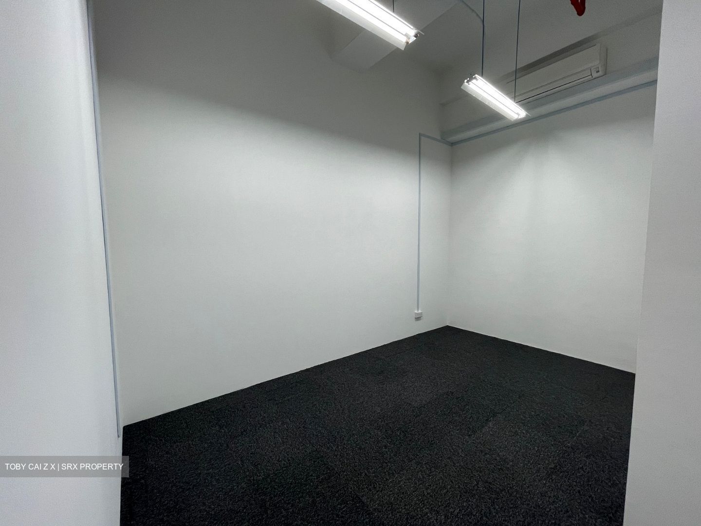 A'posh Bizhub (D27), Factory #454517171